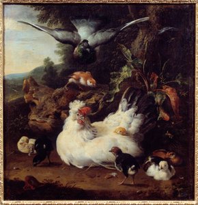 Egy tyúk és fiókái Melchior Hondecoeter festménye (1636-1695) 17. századi Caen, Szépművészeti Múzeum alkotó: Melchior de Hondecoeter