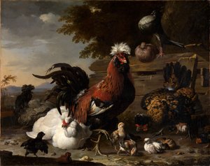 Béke a baromfiudvarban alkotó: Melchior de Hondecoeter