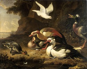 Kacsák alkotó: Melchior de Hondecoeter