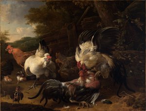 Küzdő kakasok alkotó: Melchior de Hondecoeter