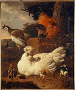 M. de Hondecoeter, anyatyúk fiókákkal alkotó: Melchior de Hondecoeter