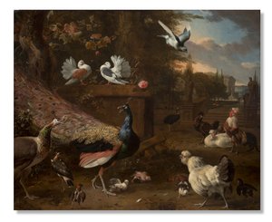 Menagerie, 1680 körül alkotó: Melchior de Hondecoeter