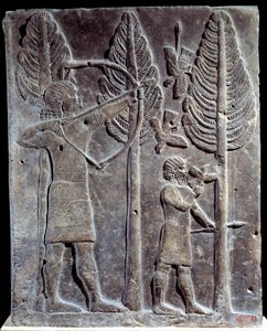 Madárvadász jelenet. Alacsony dombormű albaszterben II. Sargon vagy Sharroukin, Asszír király palotájától Khorsabadig (Khunsabad) (Mezopotámia), Irak. Kr.e. 722-705. Párizs. Louvre múzeum alkotó: Mesopotamian Mesopotamian