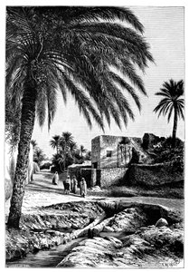 Egy utca Biszkrában, Algériában, 1895.