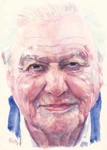 Sir David Attenborough (akvarell)