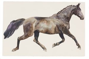Cím nélkül, 2018 (akvarell, papír) alkotó: Michael Frith