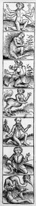 Szörnyek a „Nürnbergi krónikából”, Hartmann Schedel, 1493.
