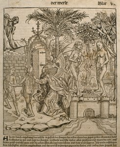 Ádám és Éva, illusztráció Hartmann Schedel (1440-1514) „Liber Chronicarum” című művéből, Nürnbergben, 1493