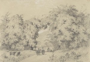 Út a St. Ann
