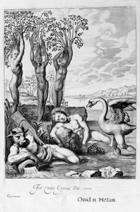 Cygnus hattyúvá, Phaeton nővérei nyárfává változtak, 1655