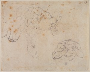 Másolat az utolsó ítéletről alkotó: Michelangelo (after) Buonarroti