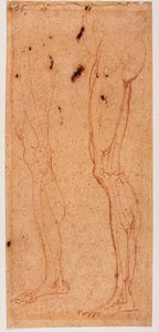 Lábvizsgálat alkotó: Michelangelo (after) Buonarroti