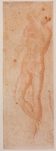 Tanulmányok a férfiaktról alkotó: Michelangelo (after) Buonarroti