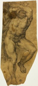 Emelkedő férfi akt alkotó: Michelangelo Buonarroti