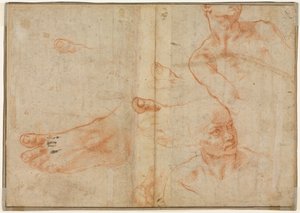 Ábratanulmányok a Sixtus-i mennyezethez (fordítva) alkotó: Michelangelo Buonarroti