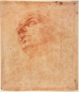 A Sixtuszi Jónás tanulmánya alkotó: Michelangelo Buonarroti