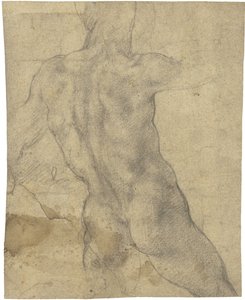 Férfi meztelen alkotó: Michelangelo Buonarroti