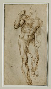 Férfi akt, elölnézet, 1502-1506 körül ... alkotó: Michelangelo Buonarroti