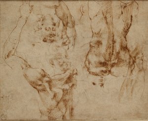 Akt tanulmányok, c1490-1560 alkotó: Michelangelo Buonarroti