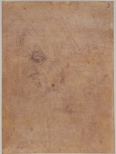 Egy idős nő profilja alkotó: Michelangelo Buonarroti