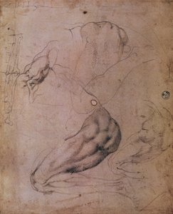Sixtus-kápolna mennyezete (1508-12): Éva alakjának vázlatai Az eredendő bűn jelenetéből (szén papíron) alkotó: Michelangelo Buonarroti