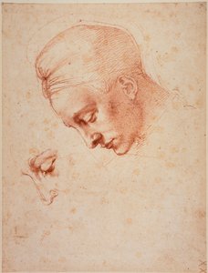 Tanulmányok a "Léda" fejéhez alkotó: Michelangelo Buonarroti