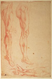 Lábak és karok tanulmányozása (piros kréta papíron) alkotó: Michelangelo Buonarroti