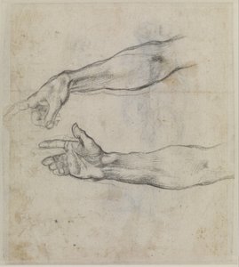 Egy kinyújtott kar tanulmánya a Sixtus-kápolna "Noé részegsége" című freskójához, 1508-09 körül (fekete kréta, papír). alkotó: Michelangelo Buonarroti