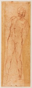 Tanulmány egy férfias alakhoz alkotó: Michelangelo Buonarroti