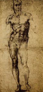 Tanulmány egy férfi akthoz, Michelangelo Buonarroti (1475-1564), rajz, Párizs, Louvre Múzeum