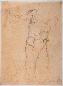 Tanulmány a "Pardisói kiűzetés" Ádámjához a Sixtus-kápolnában alkotó: Michelangelo Buonarroti