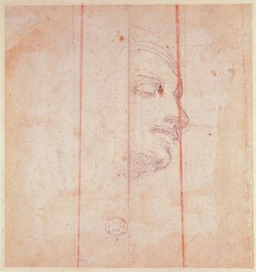 Tanulmány a líbiai szibilla fejének (fekete kréta papíron) (fordítva) alkotó: Michelangelo Buonarroti