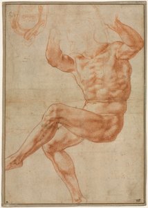 Tanulmány a meztelen fiataloknak Dániel prófétáról (recto) alkotó: Michelangelo Buonarroti