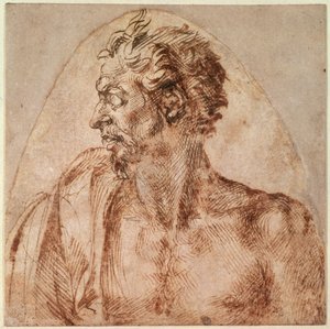 Fej és vállak tanulmányozása (tinta papíron) alkotó: Michelangelo Buonarroti