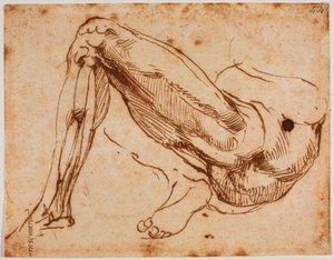 A lábak tanulmányozása alkotó: Michelangelo Buonarroti