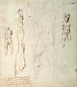 Tanulmány a Krisztus-gyermekről és egy anatómiai rajz jegyzetekkel (fekete kréta és barna tinta papíron) (fordítva) alkotó: Michelangelo Buonarroti