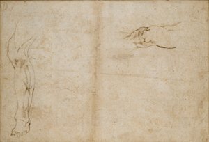 Verso: Tanulmányok egy férfi lábáról, c1490-1560 alkotó: Michelangelo Buonarroti