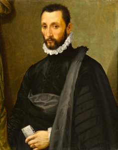 Egy úriember portréja, 1575