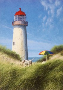 Egy nap a dűnék között alkotó: Mike Briscoe