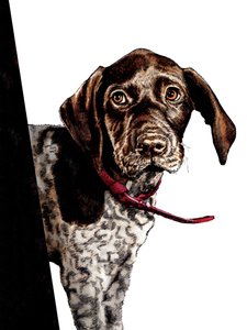 Bye Bye Puppy on White, 2020 alkotó: Mike Davis