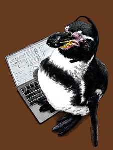 Új Job Penguin a Burnt Orange-on, 2020