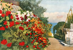 A Dália határ, Villa Hvidore alkotó: Mima Nixon
