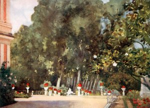 Magnóliafa, Aranjuez