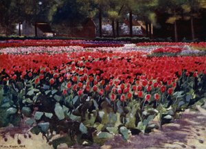 Tulipánok az első helyen (színes litó) alkotó: Mima Nixon