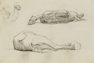 (Tevejtanulmányok) alkotó: Miner Kilbourne Kellogg