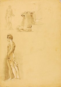 Sculante tanulmányai alkotó: Miner Kilbourne Kellogg
