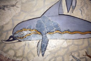 Minószi művészet. A „delfin freskó”. A freskó a királynő megaron fölötti csarnok falát vagy padlóját díszítette. A Knósszoszban (Kr. e. 1600-1450) talált eredeti mű töredékeiből rekonstruált freskó. Régészeti Múzeum, Herakleion, Kréta. alkotó: Minoan