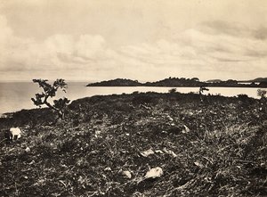 „Birodalom építése” a fasiszta korban: Tana-tó. Etiópia, 1936. 09. 05. (f/w fotó) alkotó: Modestino Baldinetti