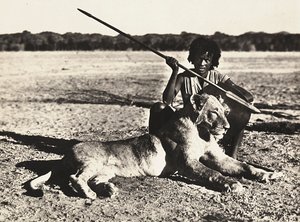 „Birodalom építése” a fasiszta korban: példa egy oroszlánra, 1936.09.05. (f/w fotó) alkotó: Modestino Baldinetti
