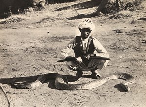 „Birodalom építése” a fasiszta korban: bennszülöttek pitonnal, 1936.05.09. (f/w fotó) alkotó: Modestino Baldinetti
